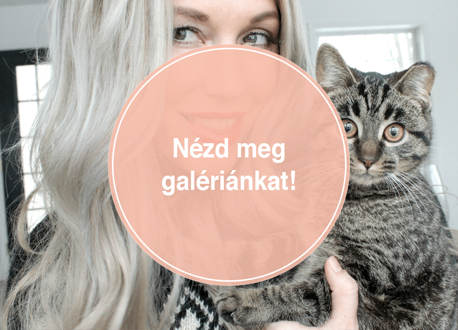 Nézd meg a galériánkat!
