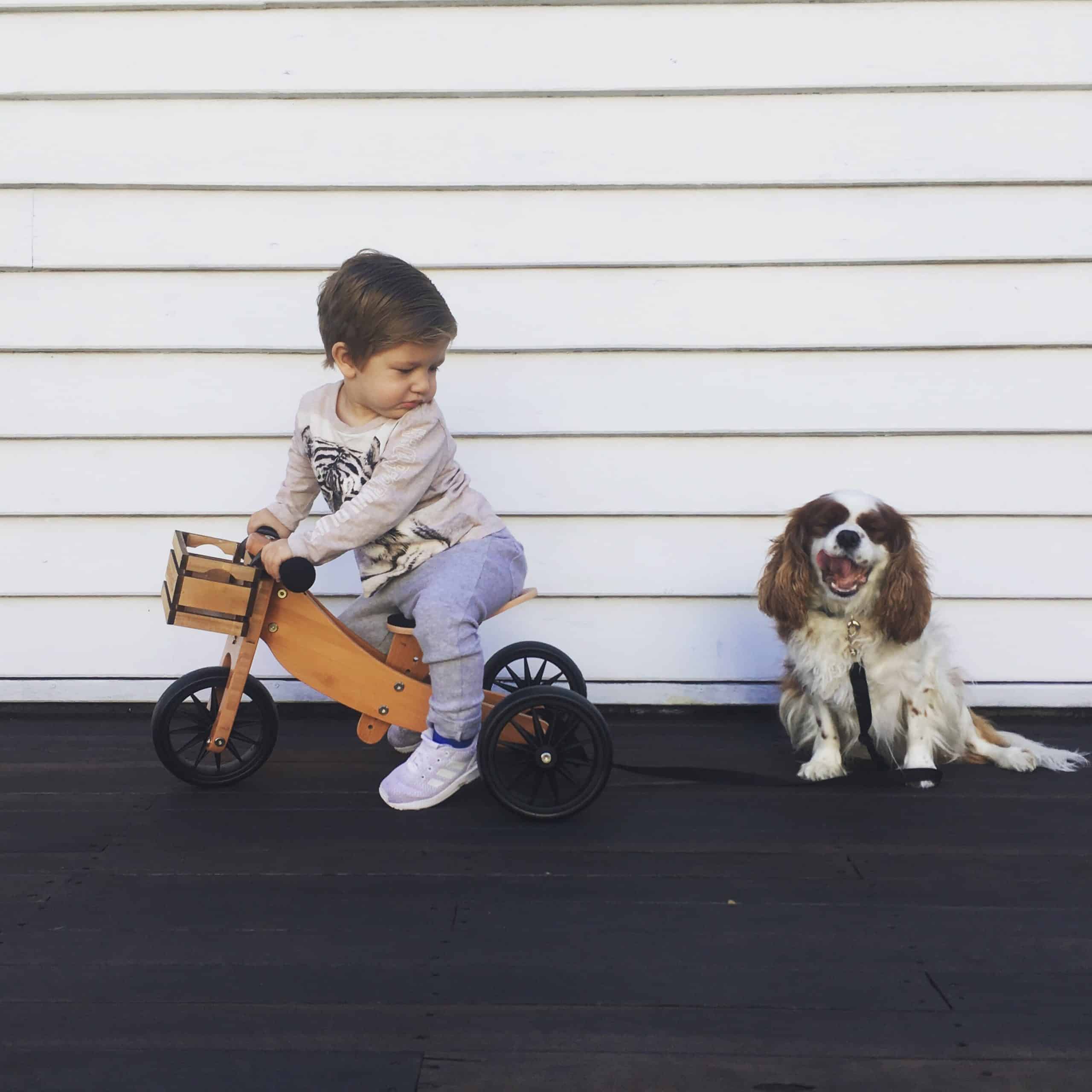 Fordítsd hasznodra a munkahelyi kudarcokat! - 7 tévhit és cáfolatuk