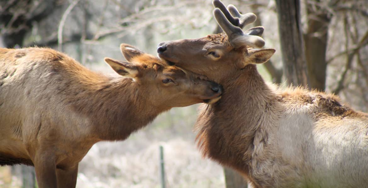 Szex minden korban avagy a lenyugvó napnak is van ereje