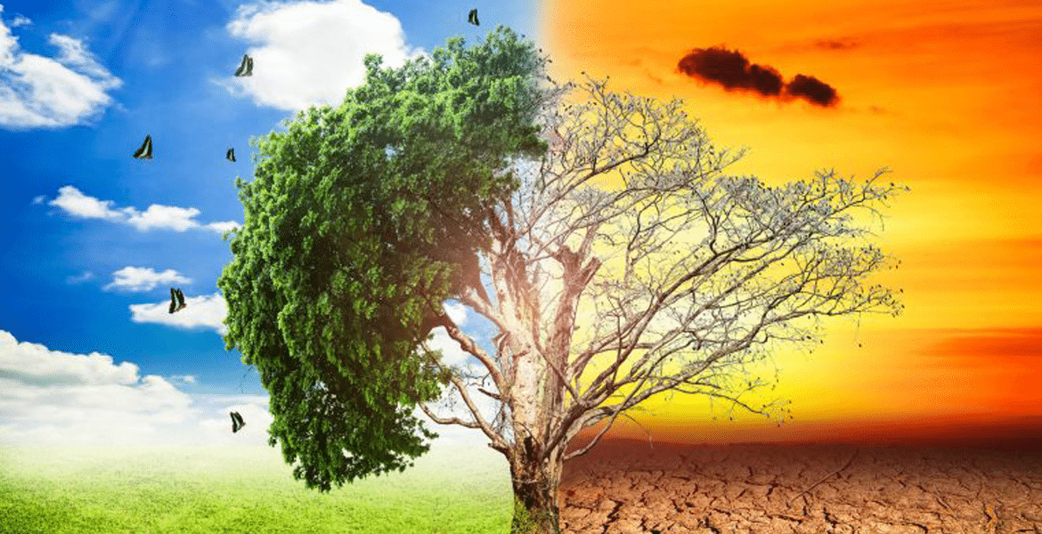 Ötből négy magyart aggaszt a klímaváltozás