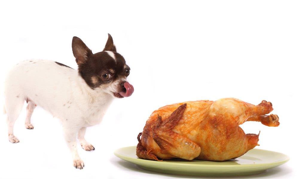 Sokáig jóllakottnak szeretnéd érezni magad? Akkor ezeket edd!