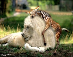 womagic_ölelés_napja