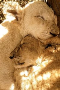 womagic_ölelés_napja