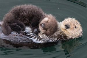 womagic_ölelés_napja