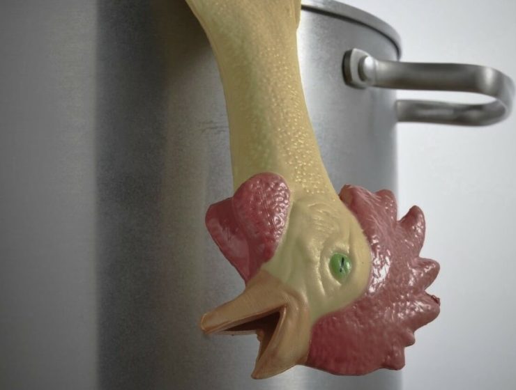 womagic_zenergetika_kurucz_balazs