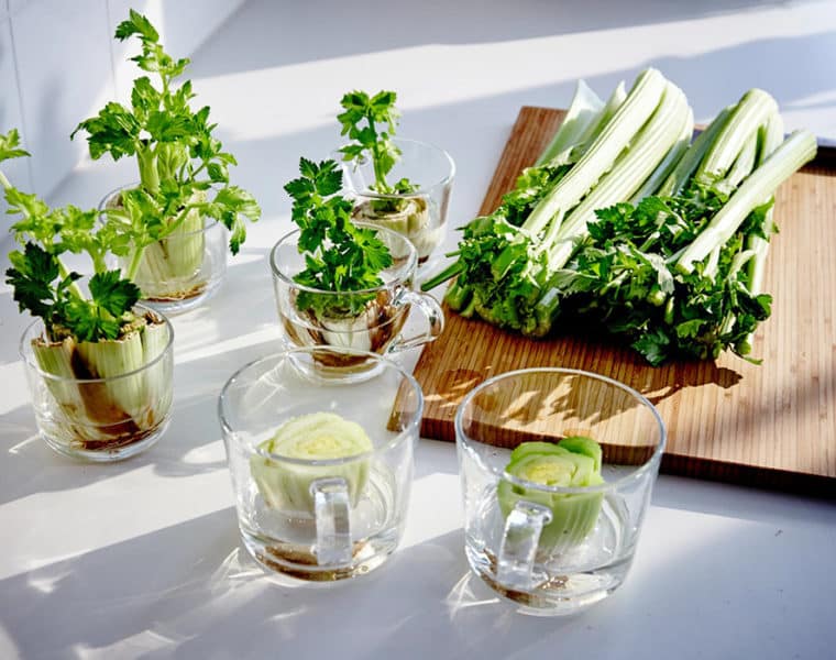 womagic_ikea_better_living