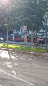 womagic_petrazworld_bécs